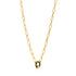 Forest Green Enamel Carabiner Gold Necklace
